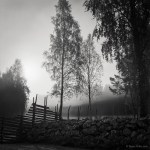 our-traditional-old-swedish-fence-20