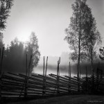 our-traditional-old-swedish-fence-21