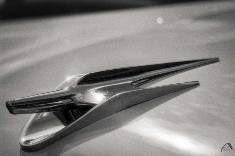 Olympus OM1n Polypan F Kodak HC-110 B