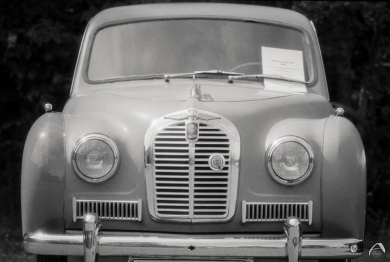 Olympus OM1n Polypan F Kodak HC-110 B