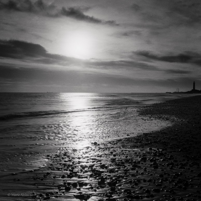 Hsasselblad 503cx + Zeiss Planar 80/2,8 Ilford HP5+ Kodak HC-110 B