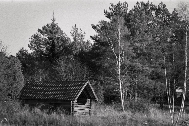 Olympus OM1n Zuiko for OM 85/2 JCH Street pan 400 Kodak HC 110B for 5 minutes Scanned with Braun FS120