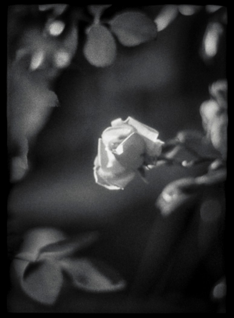 Longing for spring-3